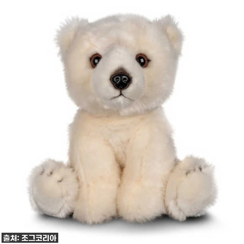 이건 진짜 '찐'이에요! 📸🐻 애너미 관련 이미지 1