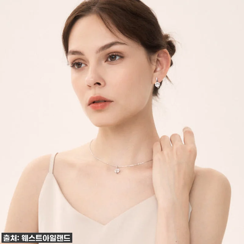 [찐후기] 웨스트아일랜드 리안 귀걸이 관련 이미지 2