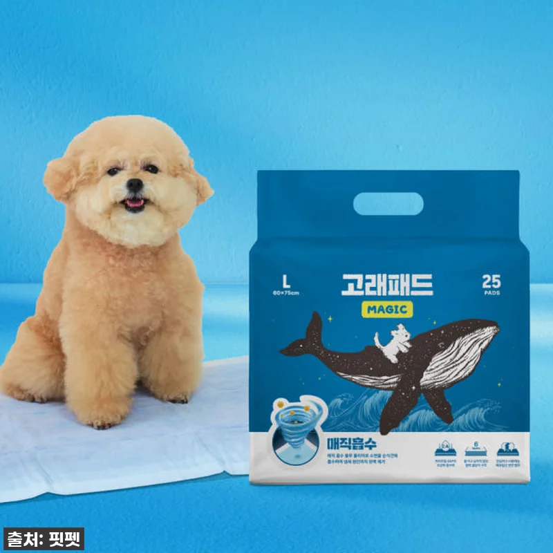 🐕&zwj;🦺발도장, 냄새 걱정 끝! 고래패 관련 이미지 2