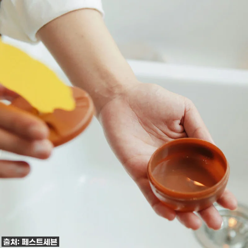 찐후기! 여름철 필수템! 초파리 지옥 관련 이미지 1