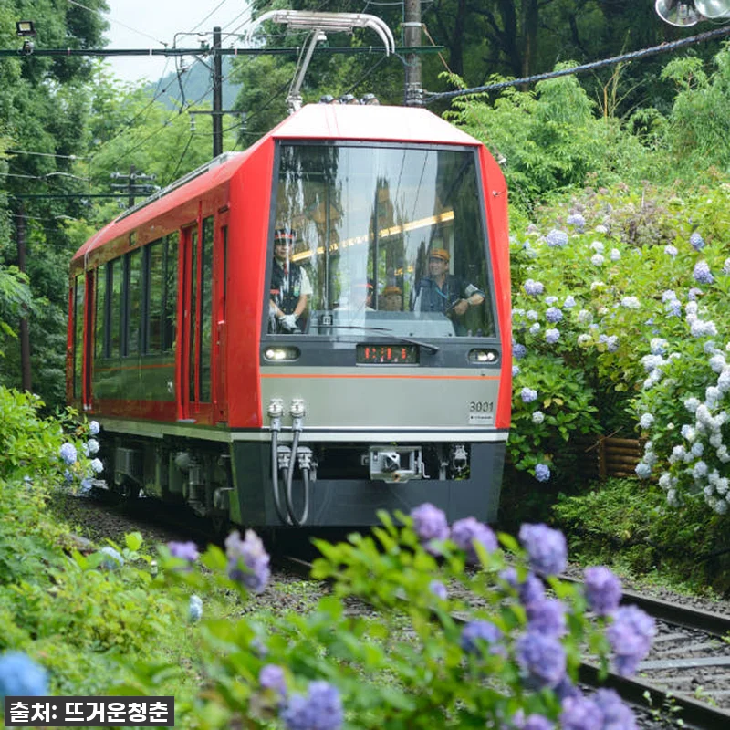 이건 무조건 쟁여야 해! 일본 후지하 관련 이미지 2