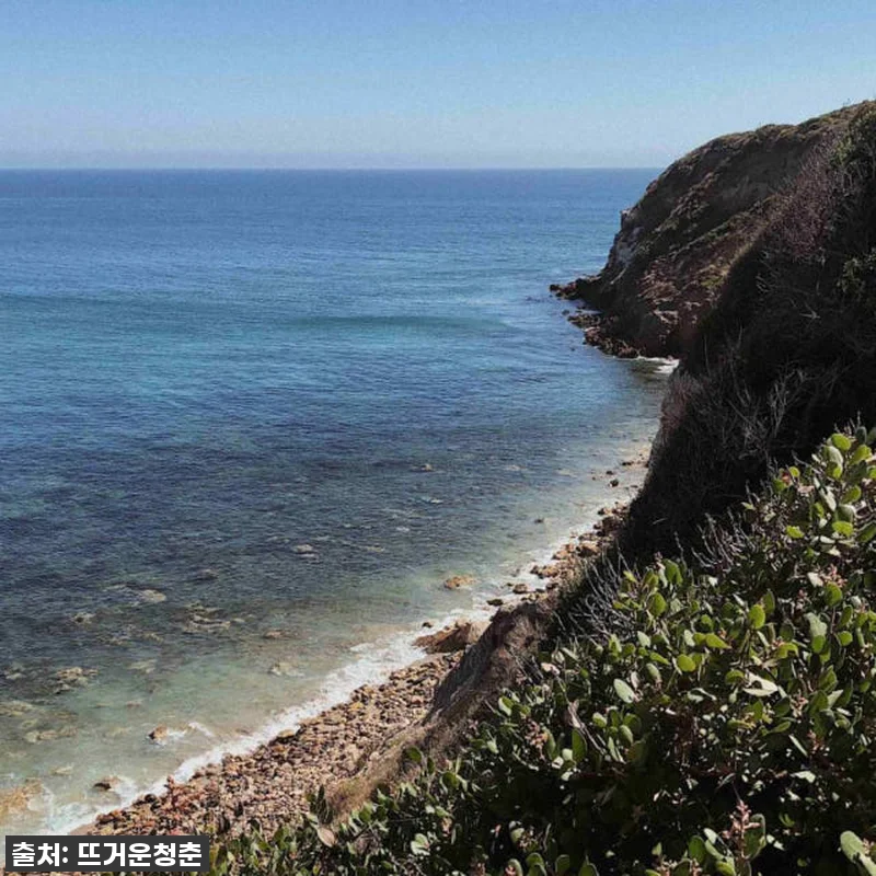 미국 LA 말리부 빈티지 밴 와인 투 관련 이미지 2
