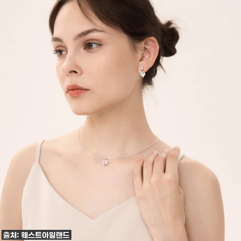 [찐후기] 웨스트아일랜드 리안 귀걸이 관련 이미지 3