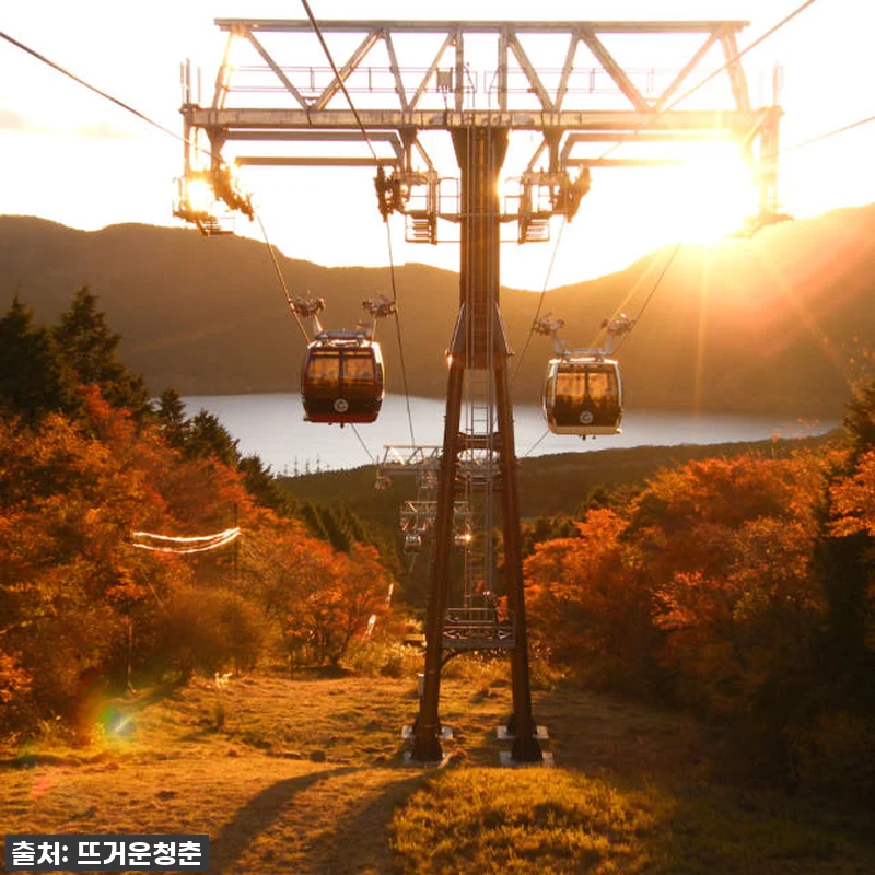 이건 무조건 쟁여야 해! 일본 후지하 관련 이미지 3