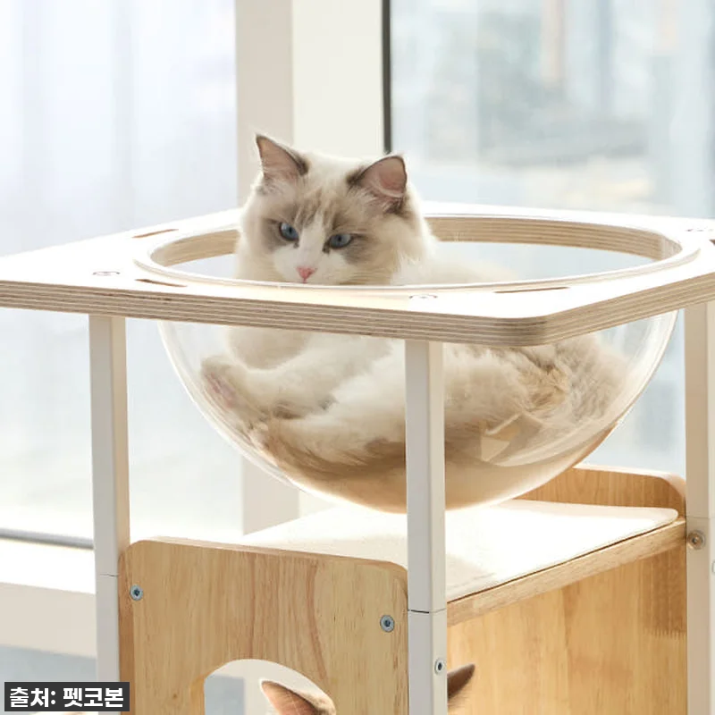 우리 냥님 인생템 등극! 펫코본 캣타 관련 이미지 2