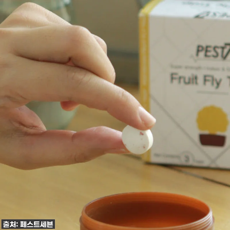 찐후기! 여름철 필수템! 초파리 지옥 관련 이미지 3