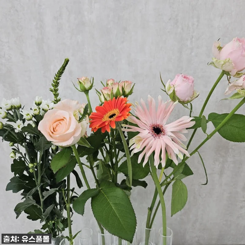 유스풀몰 생화택배, 찐후기! 20만원 관련 이미지 4