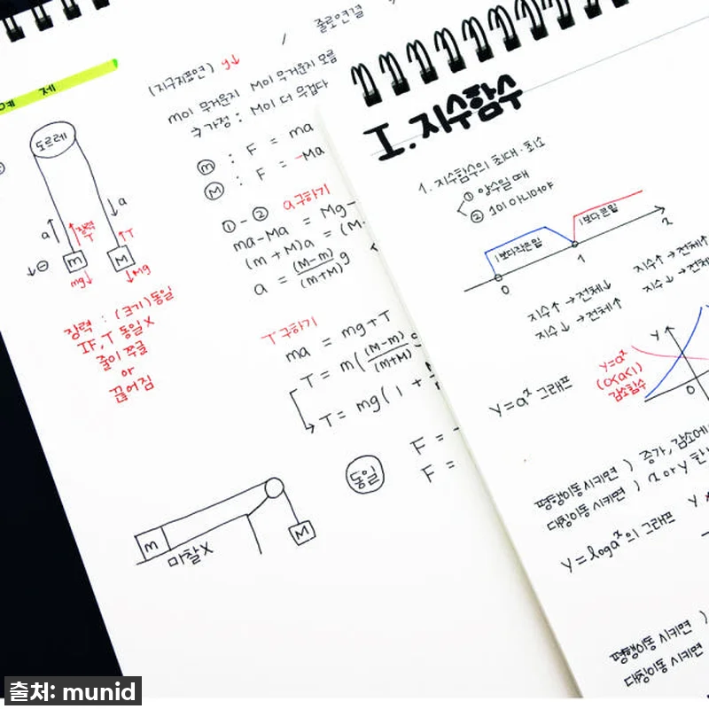 이슈템 등극! 뮤니드 스프링 다분할 관련 이미지 4