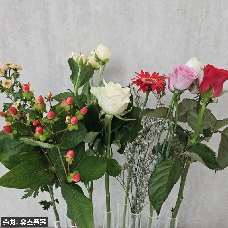 유스풀몰 생화택배, 찐후기! 20만원 관련 이미지 5
