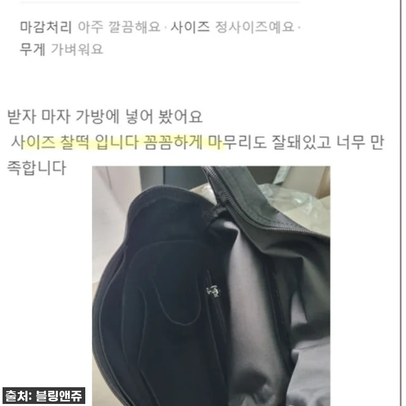 이 가격 실화?! 롱샴 백팩 이너백, 관련 이미지 5