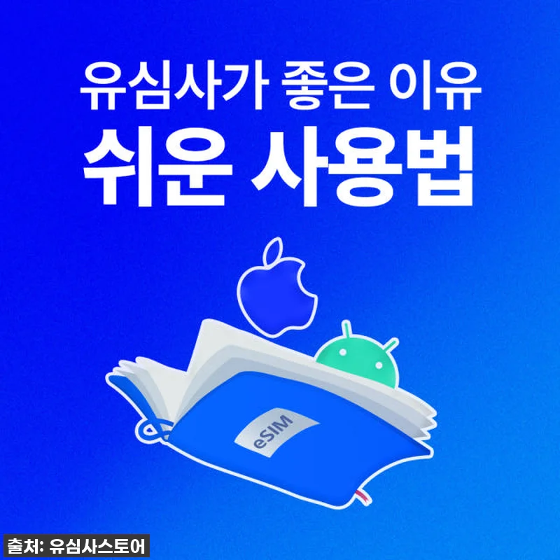 캄보디아 프놈펜 여행, 이심(eSIM 관련 이미지 5