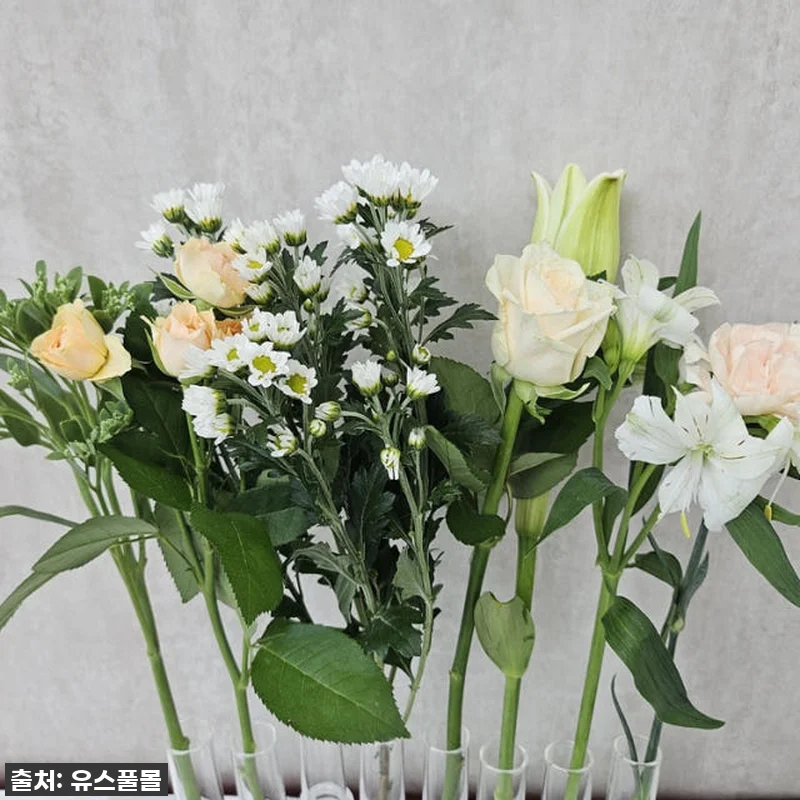 유스풀몰 생화택배, 찐후기! 20만원 관련 이미지 6