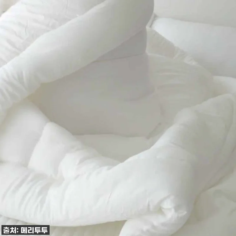 필수템 등극! 메리투투 또리곰 오트밀 관련 이미지 7