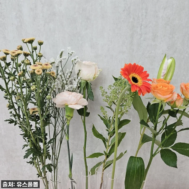 유스풀몰 생화택배, 찐후기! 20만원 관련 이미지 7