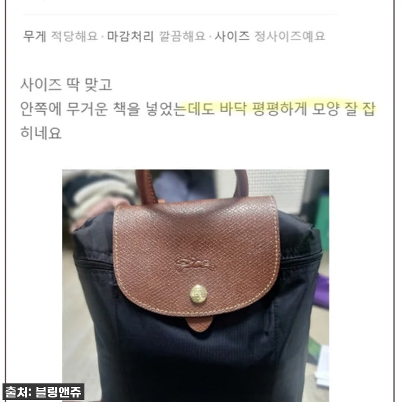 이 가격 실화?! 롱샴 백팩 이너백, 관련 이미지 7