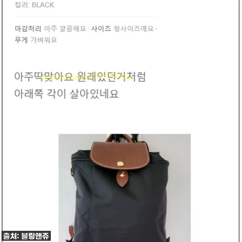 이 가격 실화?! 롱샴 백팩 이너백, 관련 이미지 8