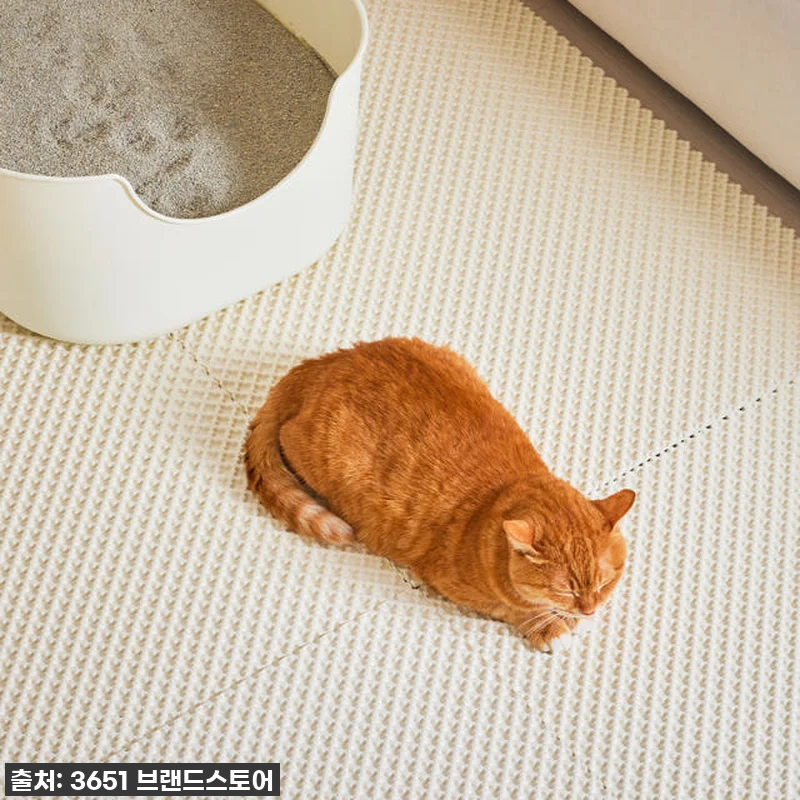 🔥급할수록 담아가세요! 고양이 모래매 관련 이미지 8