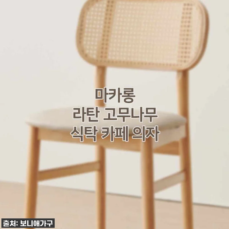 이슈템 떴다! 1+1 마카롱 라탄 의 관련 이미지 10