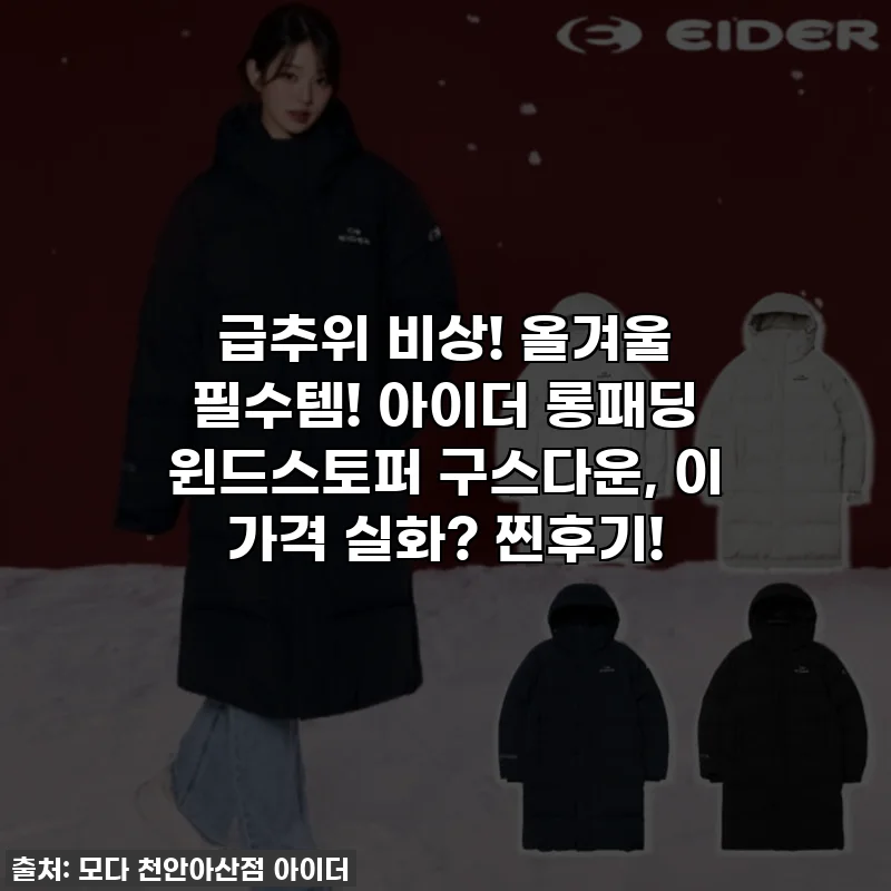급추위 비상! 올겨울 필수템! 아이더 롱패딩 윈드스토퍼 구스다운, 이 가격 실화? 찐후기!
