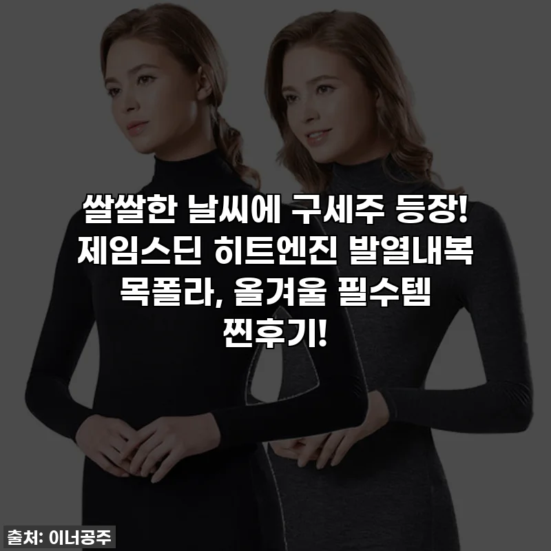 쌀쌀한 날씨에 구세주 등장! 제임스딘 히트엔진 발열내복 목폴라, 올겨울 필수템 찐후기!