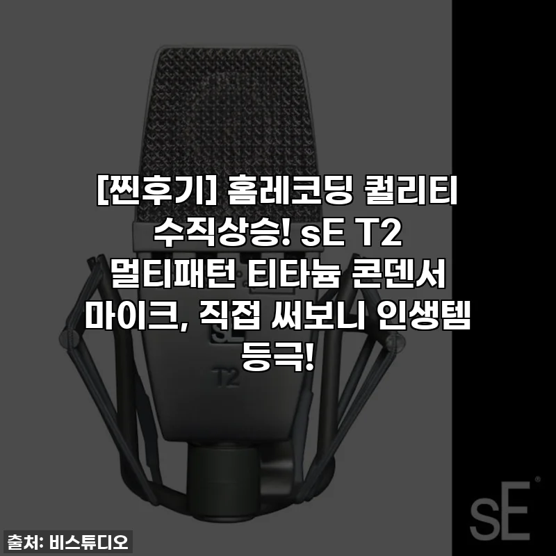 [찐후기] 홈레코딩 퀄리티 수직상승! sE T2 멀티패턴 티타늄 콘덴서 마이크, 직접 써보니 인생템 등극!
