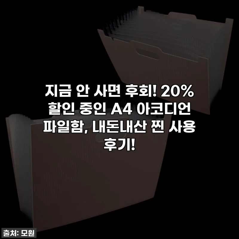 지금 안 사면 후회! 20% 할인 중인 A4 아코디언 파일함, 내돈내산 찐 사용 후기!