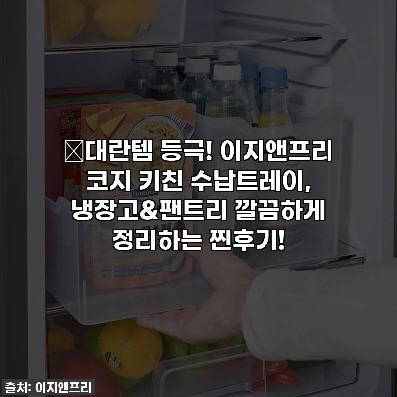 😱대란템 등극! 이지앤프리 코지 키친 수납트레이, 냉장고&팬트리 깔끔하게 정리하는 찐후기!