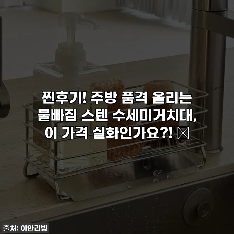 찐후기! 주방 품격 올리는 물빠짐 스텐 수세미거치대, 이 가격 실화인가요?! ✨