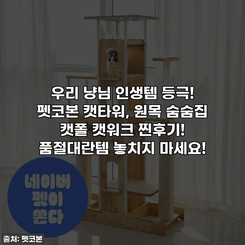 우리 냥님 인생템 등극! 펫코본 캣타워, 원목 숨숨집 캣폴 캣워크 찐후기! 품절대란템 놓치지 마세요!