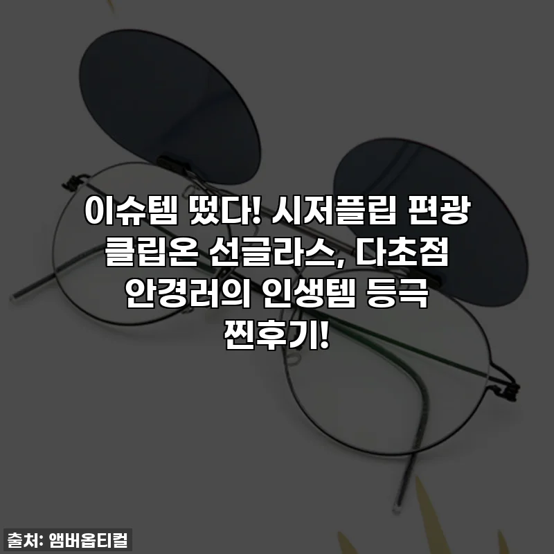 이슈템 떴다! 시저플립 편광 클립온 선글라스, 다초점 안경러의 인생템 등극 찐후기!
