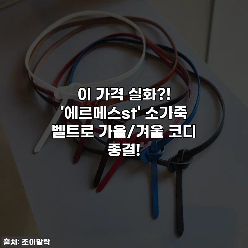 이 가격 실화?! '에르메스st' 소가죽 벨트로 가을/겨울 코디 종결!
