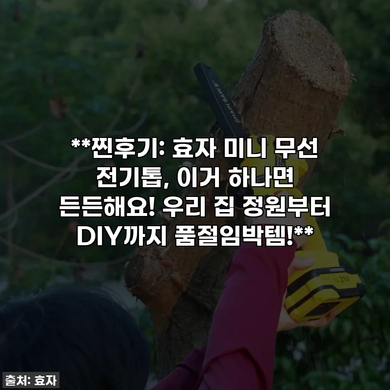 **찐후기: 효자 미니 무선 전기톱, 이거 하나면 든든해요! 우리 집 정원부터 DIY까지 품절임박템!**