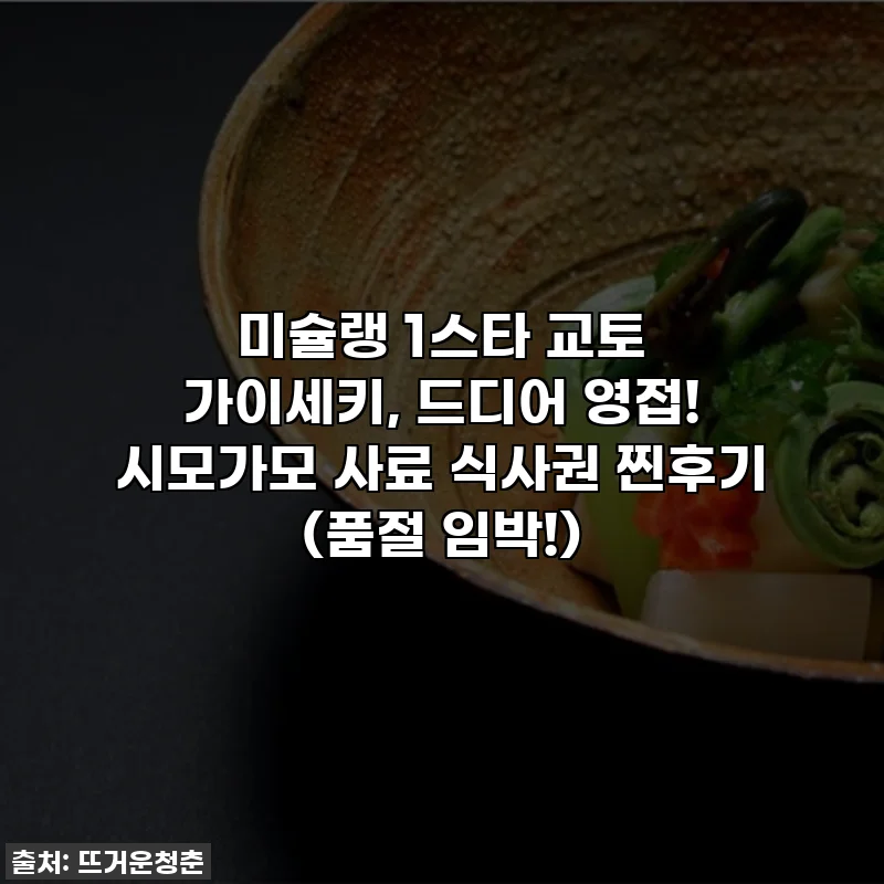 미슐랭 1스타 교토 가이세키, 드디어 영접! 시모가모 사료 식사권 찐후기 (품절 임박!)