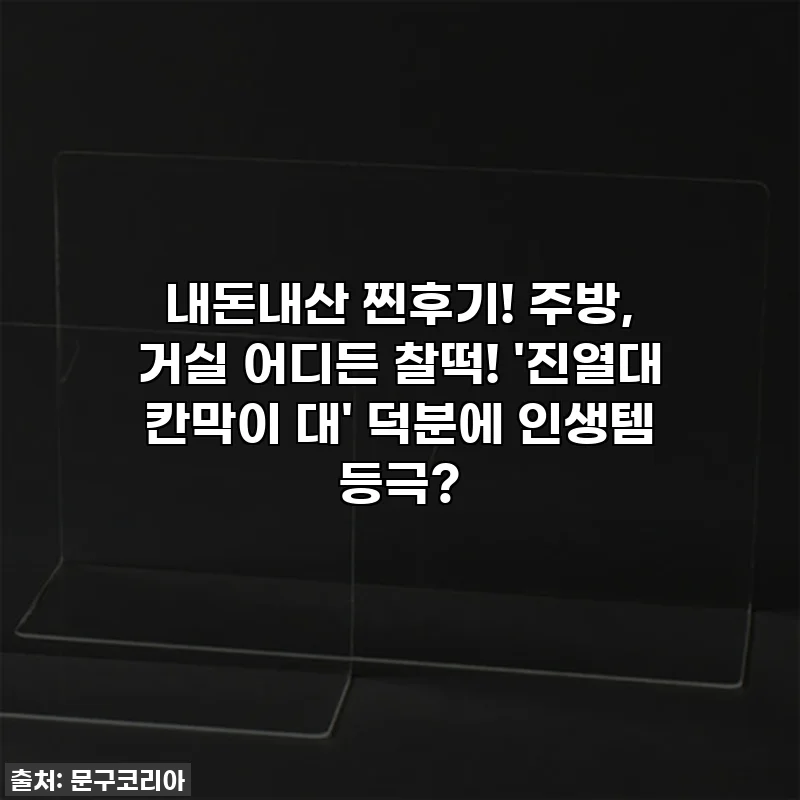 내돈내산 찐후기! 주방, 거실 어디든 찰떡! '진열대 칸막이 대' 덕분에 인생템 등극?