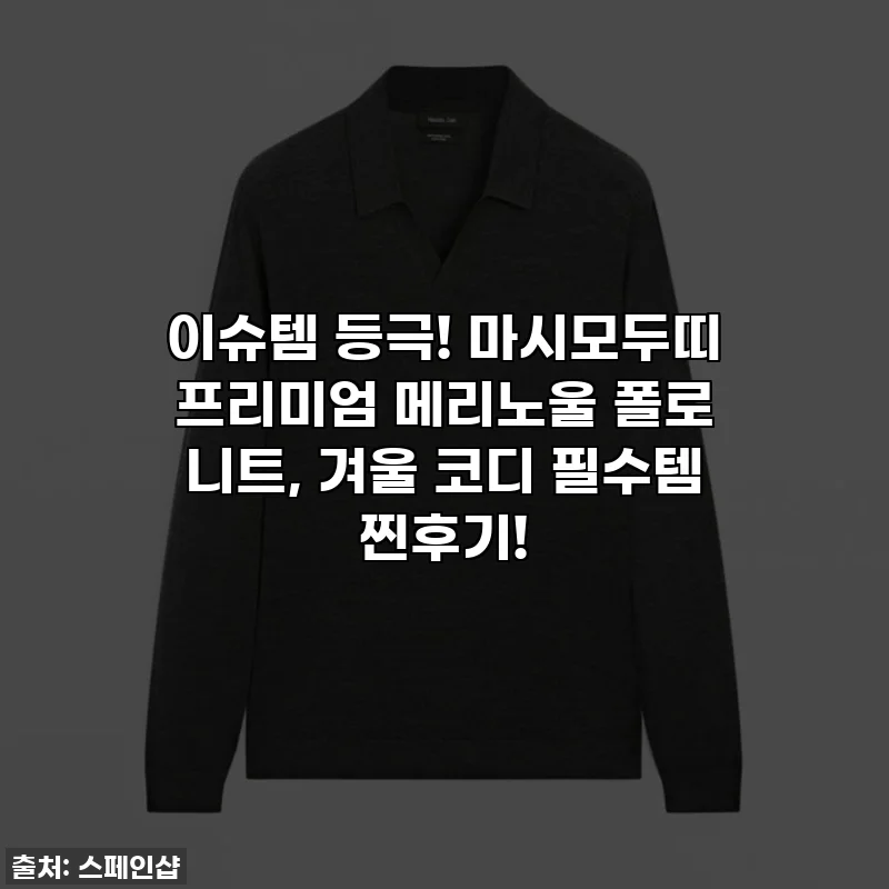 이슈템 등극! 마시모두띠 프리미엄 메리노울 폴로 니트, 겨울 코디 필수템 찐후기!
