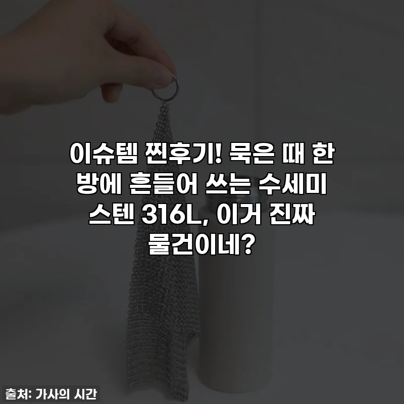 이슈템 찐후기! 묵은 때 한 방에 흔들어 쓰는 수세미 스텐 316L, 이거 진짜 물건이네?