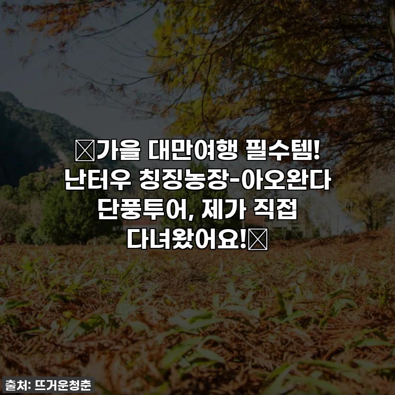 🍂가을 대만여행 필수템! 난터우 칭징농장-아오완다 단풍투어, 제가 직접 다녀왔어요!🍁