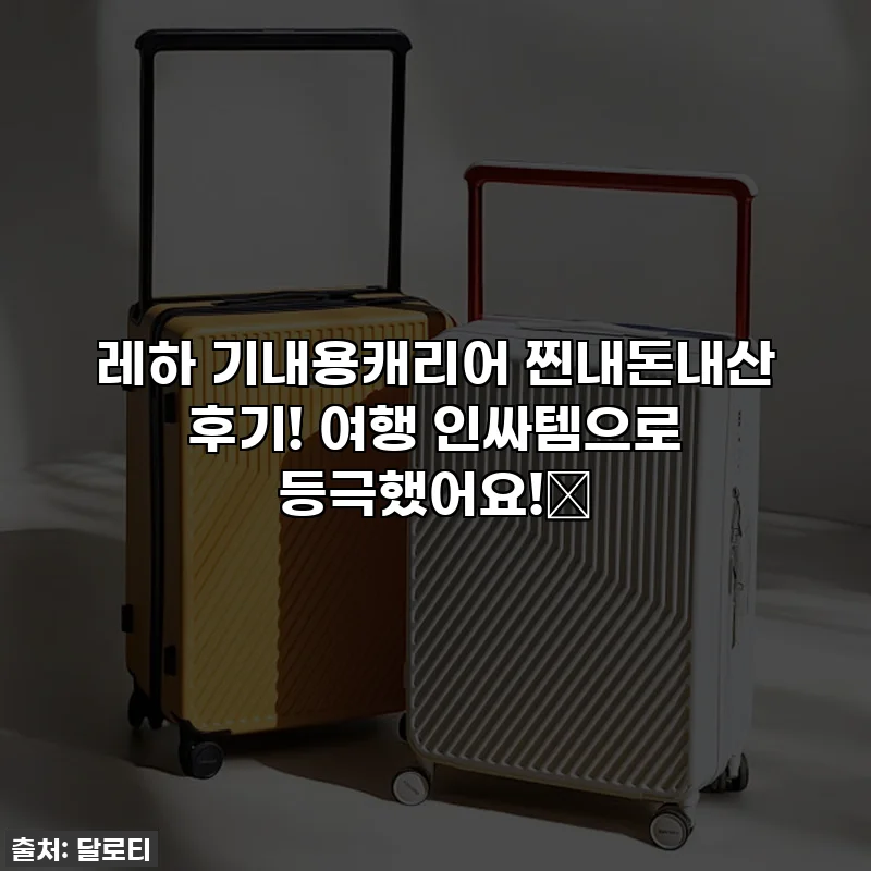 레하 기내용캐리어 찐내돈내산 후기! 여행 인싸템으로 등극했어요!✨
