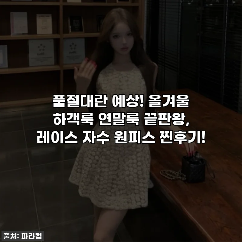 품절대란 예상! 올겨울 하객룩 연말룩 끝판왕, 레이스 자수 원피스 찐후기!
