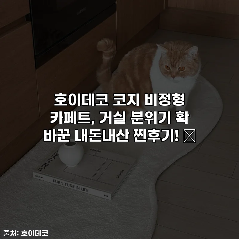 호이데코 코지 비정형 카페트, 거실 분위기 확 바꾼 내돈내산 찐후기! ✨
