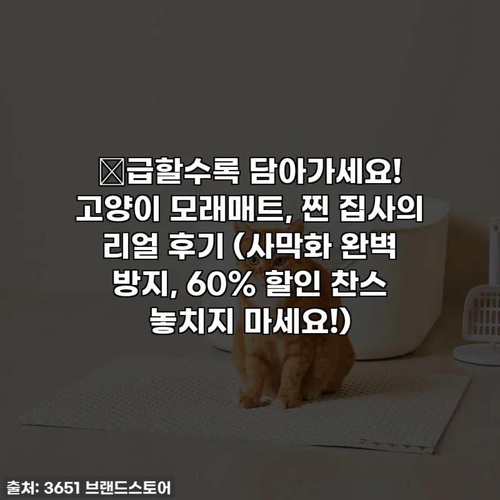 🔥급할수록 담아가세요! 고양이 모래매트, 찐 집사의 리얼 후기 (사막화 완벽 방지, 60% 할인 찬스 놓치지 마세요!)