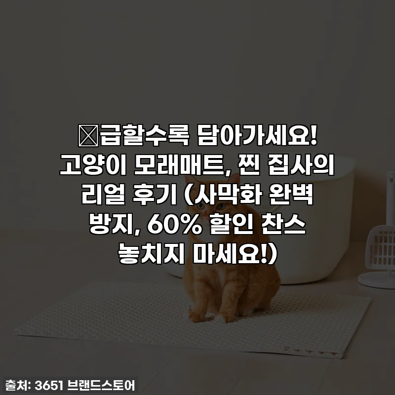 🔥급할수록 담아가세요! 고양이 모래매트, 찐 집사의 리얼 후기 (사막화 완벽 방지, 60% 할인 찬스 놓치지 마세요!)