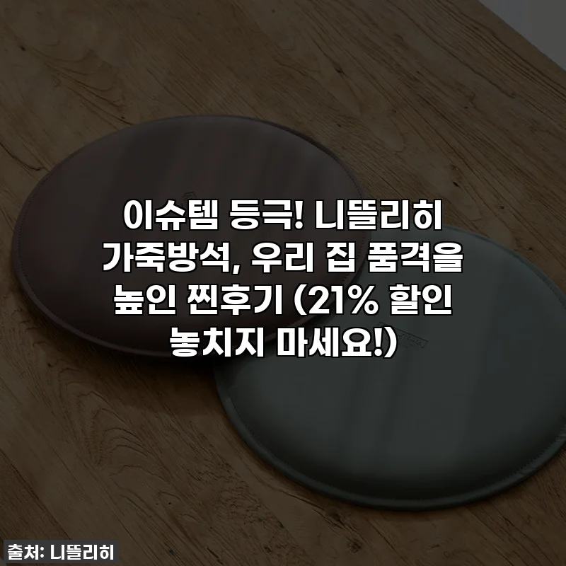 이슈템 등극! 니뜰리히 가죽방석, 우리 집 품격을 높인 찐후기 (21% 할인 놓치지 마세요!)
