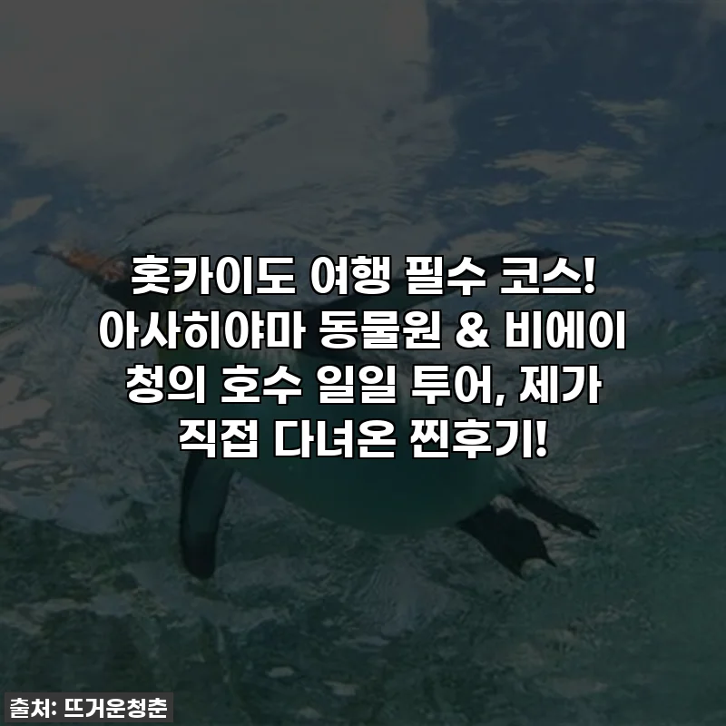 홋카이도 여행 필수 코스! 아사히야마 동물원 & 비에이 청의 호수 일일 투어, 제가 직접 다녀온 찐후기!