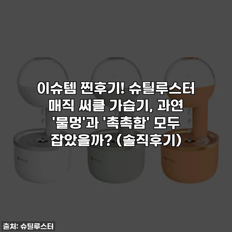 이슈템 찐후기! 슈틸루스터 매직 써클 가습기, 과연 '물멍'과 '촉촉함' 모두 잡았을까? (솔직후기)
