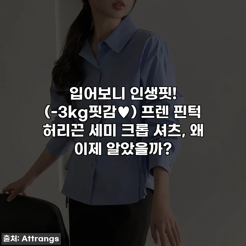 입어보니 인생핏! (-3kg핏감&hearts;) 프렌 핀턱 허리끈 세미 크롭 셔츠, 왜 이제 알았을까?