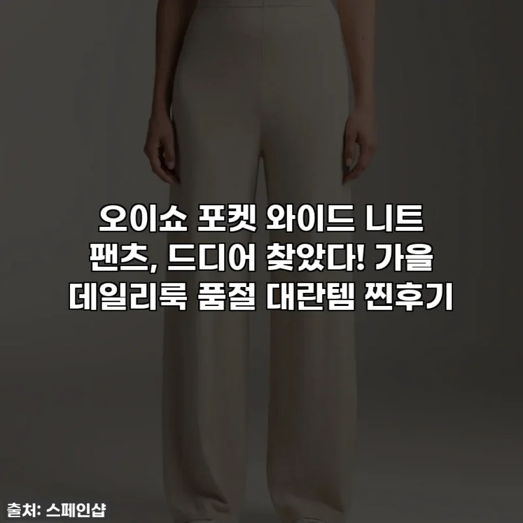 오이쇼 포켓 와이드 니트 팬츠, 드디어 찾았다! 가을 데일리룩 품절 대란템 찐후기