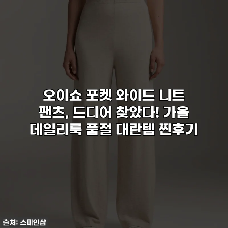 오이쇼 포켓 와이드 니트 팬츠, 드디어 찾았다! 가을 데일리룩 품절 대란템 찐후기