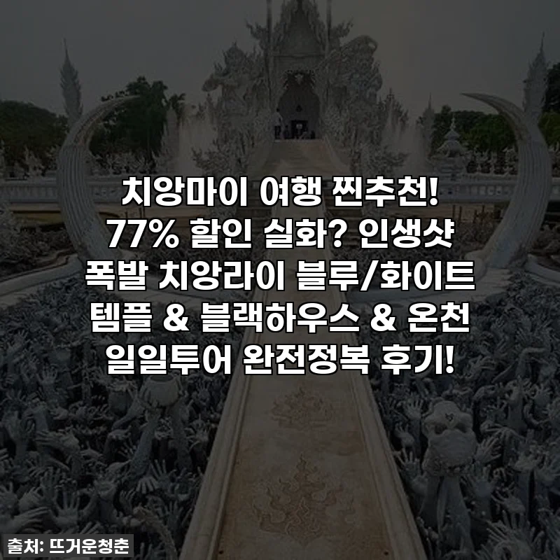 치앙마이 여행 찐추천! 77% 할인 실화? 인생샷 폭발 치앙라이 블루/화이트 템플 & 블랙하우스 & 온천 일일투어 완전정복 후기!