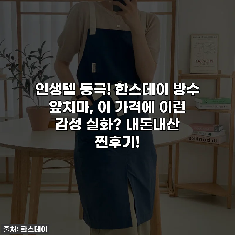 인생템 등극! 한스데이 방수 앞치마, 이 가격에 이런 감성 실화? 내돈내산 찐후기!